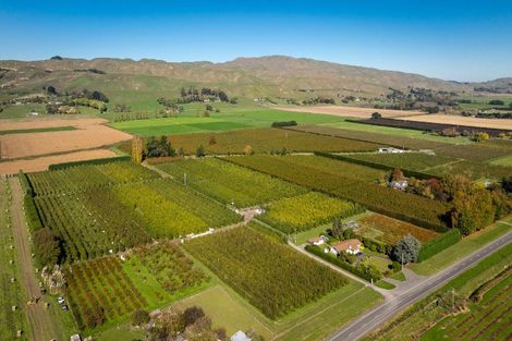 Photo of property in 83 Mount Erin Road, Pukahu, Hastings, 4172