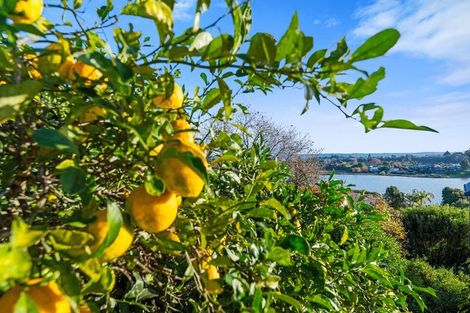 Photo of property in 124 Haukore Street, Hairini, Tauranga, 3112