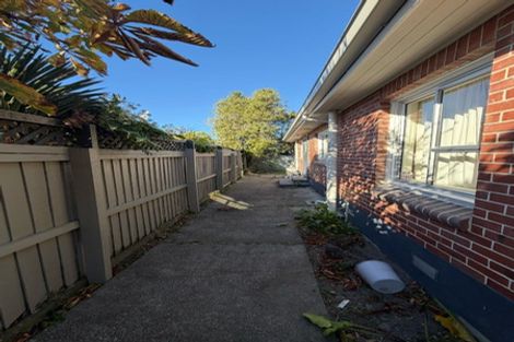 Photo of property in 19 Richill Street, Belfast, Christchurch, 8051
