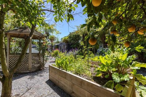 Photo of property in 456 Park Road, Te Awamutu, 3800