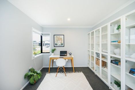 Photo of property in 43 Accolade Street, Feilding, 4702