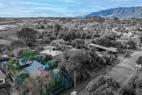 Photo of property in 25 Puriri Road, Waikanae, 5036