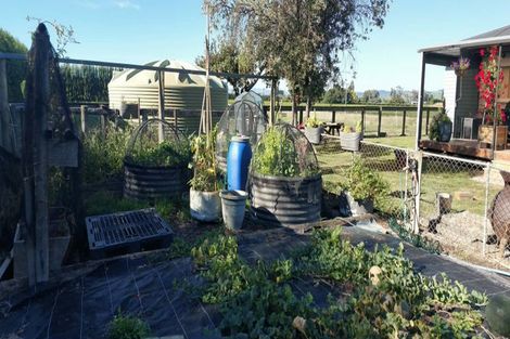 Photo of property in 1130 Matawai Road, Ormond, Gisborne, 4071