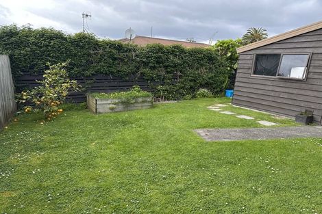 Photo of property in 53 Paine Street, Judea, Tauranga, 3110