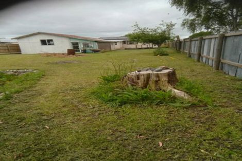 Photo of property in 18 Racecourse Avenue, Marton, 4710