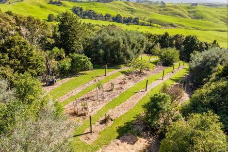Photo of property in 429 Glenmohr Road, Waipu, 0582