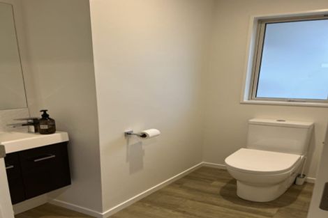 Photo of property in 3 Oates Street, Lincoln, 7608
