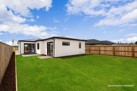 Photo of property in 14 Wilkin Street, Woodend, 7610