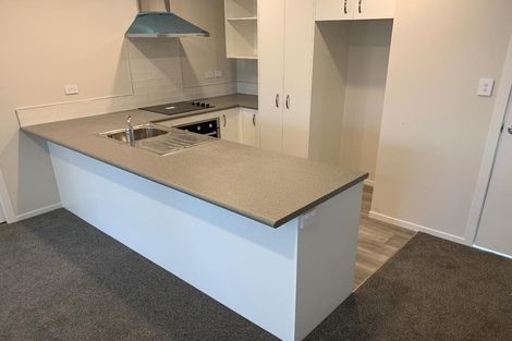 Photo of property in 58u1 Wellington Street, Hamilton East, Hamilton, 3216