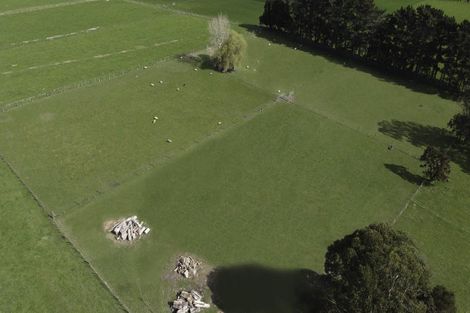 Photo of property in 29 Tutaekara Road, Pahiatua, 4987
