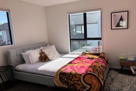 Photo of property in 19 Verlamio Lane, Edgeware, Christchurch, 8013
