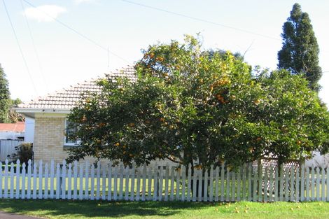 Photo of property in 17 Darley Street, Maeroa, Hamilton, 3200