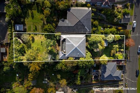 Photo of property in 21 Harcourt Street, Belleknowes, Dunedin, 9011
