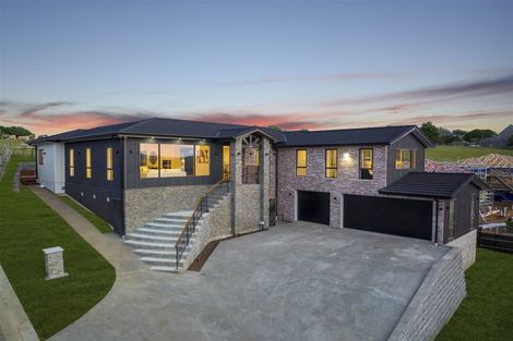 Photo of property in 118 Lisle Farm Drive, Pukekohe, 2120