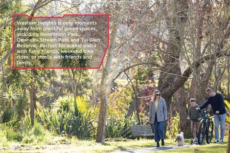 Photo of property in 3 Isabella Lane, Henderson, 0610