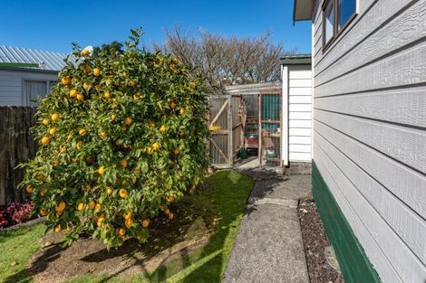 Photo of property in 151b Mayfair Avenue, Whangamata, 3620