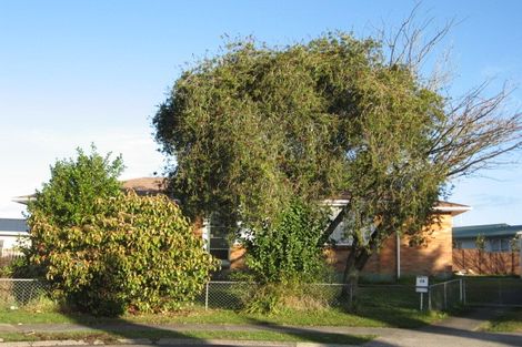 Photo of property in 24 Magee Place, Chartwell, Hamilton, 3210