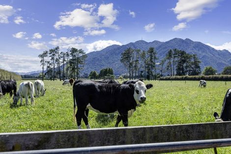 Photo of property in 111 O'donoghue Road, Te Aroha West, Te Aroha, 3393
