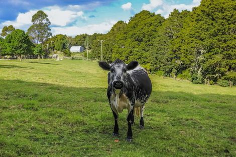 Photo of property in 57 Pinehill Road, Pakaraka, Moerewa, 0472