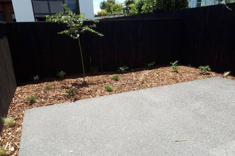 Photo of property in 13u5 Beale Street, Hamilton East, Hamilton, 3216
