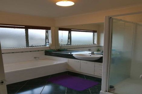 Photo of property in 17 Hillwell Drive, Henderson, Auckland, 0612