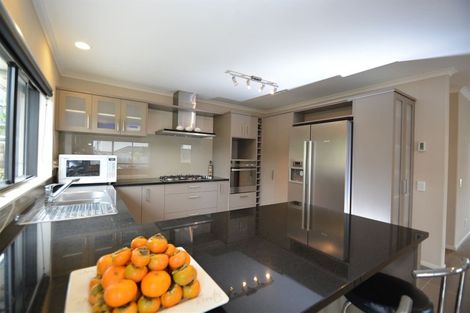 Photo of property in 6 Beros Place, Flat Bush, Auckland, 2016