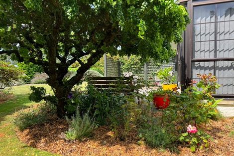 Photo of property in 116 Richard Pearse Drive, Temuka, 7920