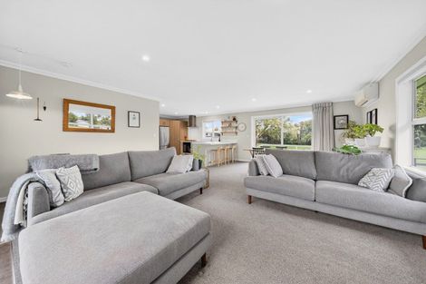 Photo of property in 57 Daniell Street, Solway, Masterton, 5810