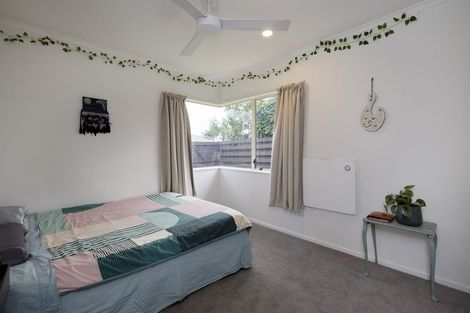 Photo of property in 22 Lotus Avenue, Mount Maunganui, 3116