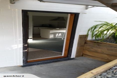 Photo of property in 80 Taipari Street, Maungatapu, Tauranga, 3112