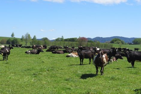 Photo of property in 30 Mathers Road, Hoon Hay, Christchurch, 8025