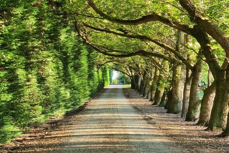 Photo of property in 459 Flora East, Makarewa, Invercargill, 9876