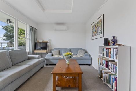 Photo of property in 104 Milson Line, Milson, Palmerston North, 4414