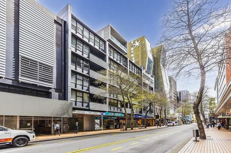 Photo of property in Gerondis Bldg Apartments, 102/60 Willis Street, Wellington Central, Wellington, 6011