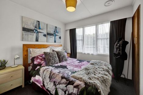 Photo of property in 114 Ariel Street, Stratford, 4332