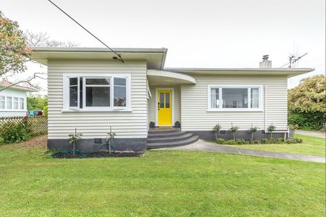 Photo of property in 9 Hannan Street, Levin, 5510