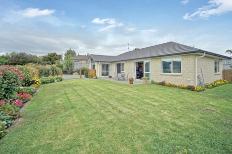 Photo of property in 4d No 2 Road, Te Puke, 3119