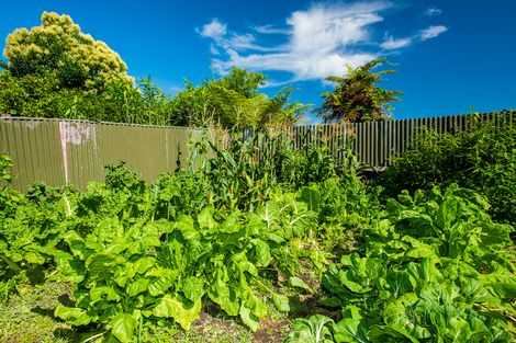 Photo of property in 140 Lucknow Street, Wairoa, 4108