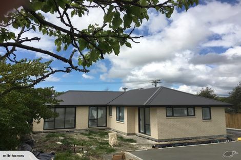 Photo of property in 2a Elzy Street, Blenheim, 7201