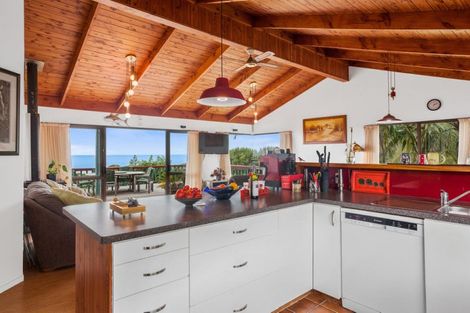Photo of property in 8328 State Highway 35, Whanarua Bay, Te Kaha, 3199