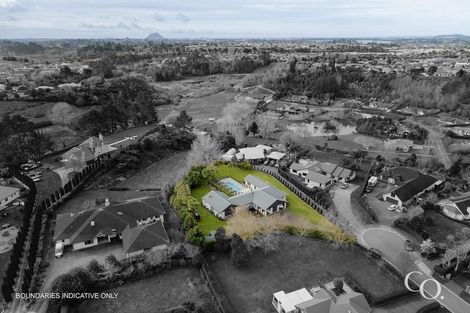 Photo of property in 9r Georgia Grove, Pyes Pa, Tauranga, 3112
