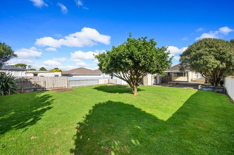 Photo of property in 33 Manchester Street, Takaro, Palmerston North, 4412