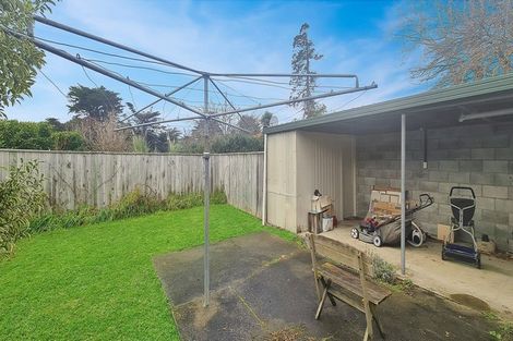 Photo of property in 111 Tutaenui Road, Marton, 4710