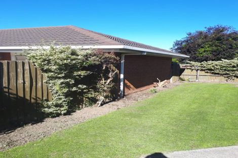 Photo of property in 20 Hoani Street, Papanui, Christchurch, 8053