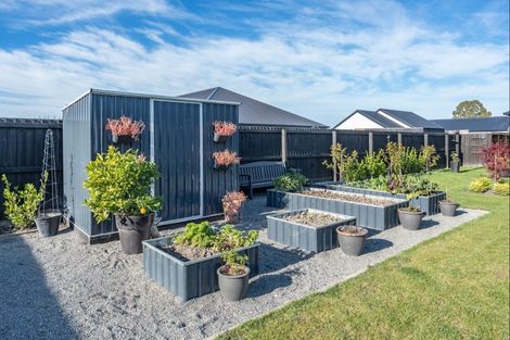 Photo of property in 41 Suffolk Drive, Kirwee, 7571