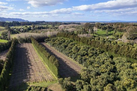 Photo of property in 308 Athenree Road, Athenree, Katikati, 3177