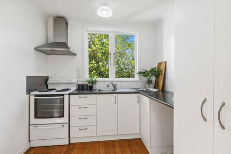 Photo of property in 60 Waipapa Road, Hataitai, Wellington, 6021
