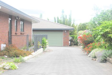 Photo of property in 28b Oxford Street, Te Puke, 3119