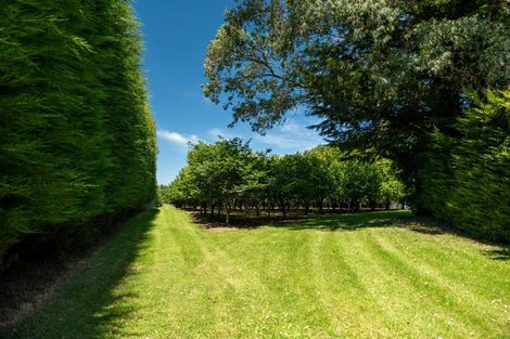 Photo of property in 459 Flora East, Makarewa, Invercargill, 9876