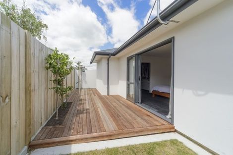 Photo of property in 113b Ferguson Street, West End, Palmerston North, 4412